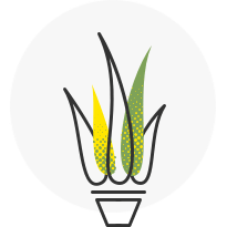 Cura del giardino